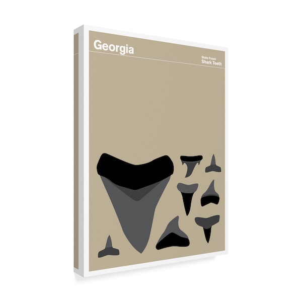 Print Collection - Artist 'Georgia Shark Teeth' Canvas Art,24x32